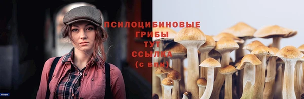 мескалин Верхний Тагил